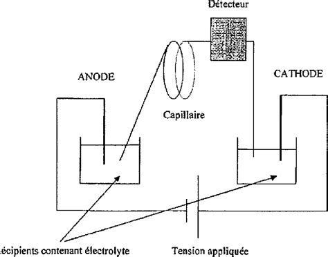 Figure 1 from Applications de l électrophorèse capillaire en