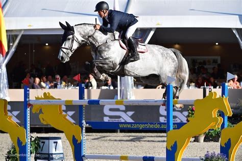 Galop Be Nieuwe Ruiter Voor Cassius Clay VDV Z