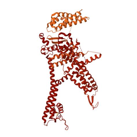 Rcsb Pdb 8sex Cryo Em Structure Of Ryr1 Amp Local Refinement Of Tmd