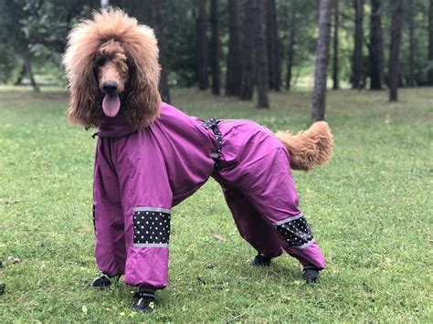 Custom Fit Custom Dog Clothing Rain Coat Large Breed Dog Full Body