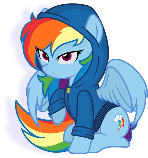 Rainbow Dash Hoodie Rainbow Dash Rainbow Dash Hoodie Rainbow Dash