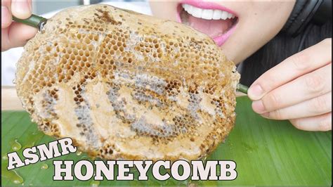 Asmr Raw Honeycomb Sticky Soft Bubbly Crunch Eating Sounds No Talking Sas Asmr Youtube