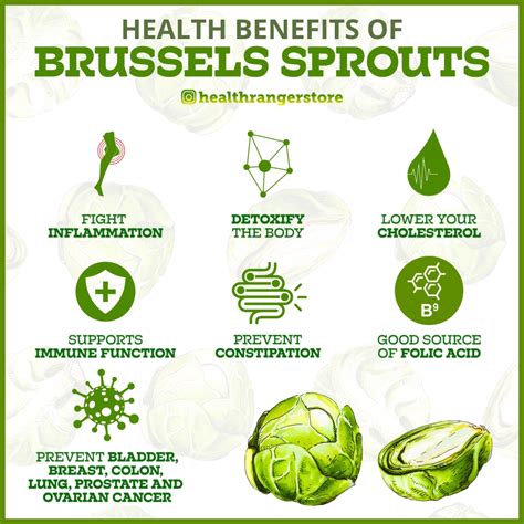 Health Benefits Of Brussel Sprouts Artofit