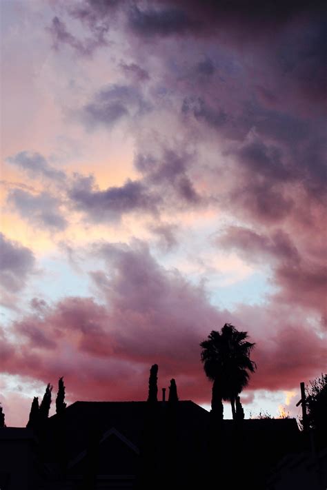 Purple,clouds,sunset,sky,silhouette - free image from needpix.com