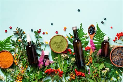 Best Herbs And Vitamins For Burns Treatment Biophytopharm