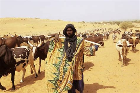 Benin Togo les foulani dans le viseur L actualité africaine