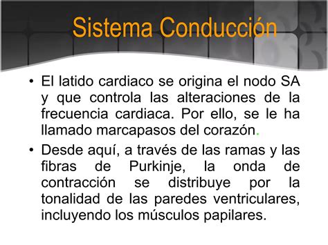 Sistema de conducción cardiaca PPT