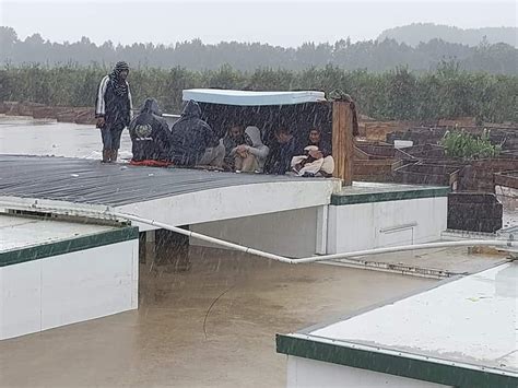 Cyclone Gabrielle: Pacific seasonal workers picking up the pieces in ...