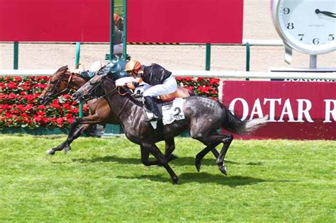 La Photo De L Arriv E Du Prix De Sandringham Course Pmu Du Dimanche