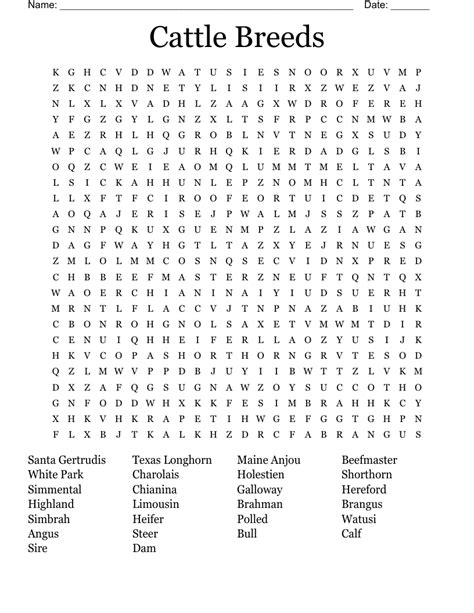 Beef Breed Crossword Pdf Beef Cattle Breeds Word Search Clues Beef