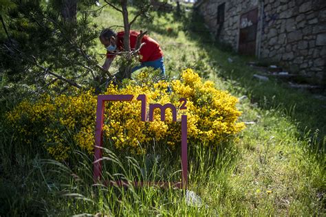 Voluntarios Del Proyecto LIBERA Retiran 114 Toneladas De Basuraleza En