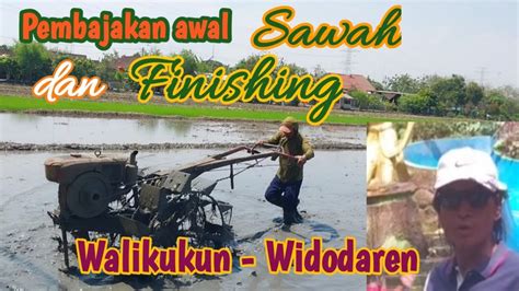 Pembajakan Sawah Awal Dan Finishing Di Walikukun Santohydroponik