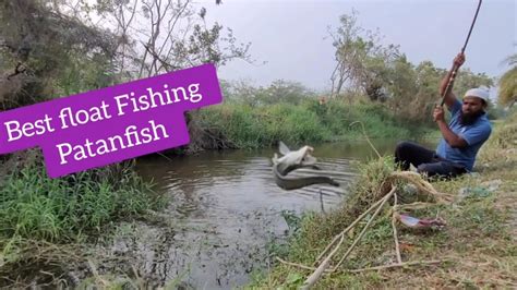 Patan Fishing Fisher Man Catching In Single Hook Amazing Fishing Video