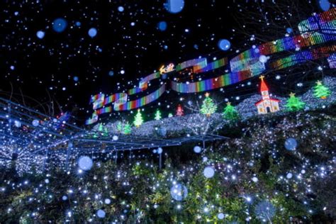 Ashikaga Flower Park Illumination 2024-2025 - Japan Web Magazine