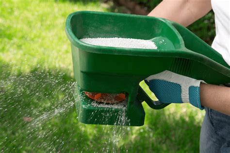 Best Fertilizer To Thicken Grass Trim That Weed