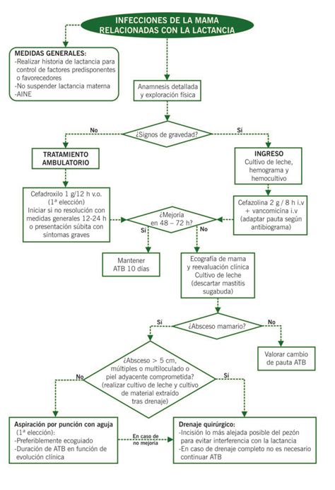 Mastitis Manuales Clínicos