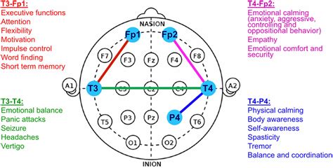 Frontiers Neurofeedback In Patients With Frontal Brain Lesions A