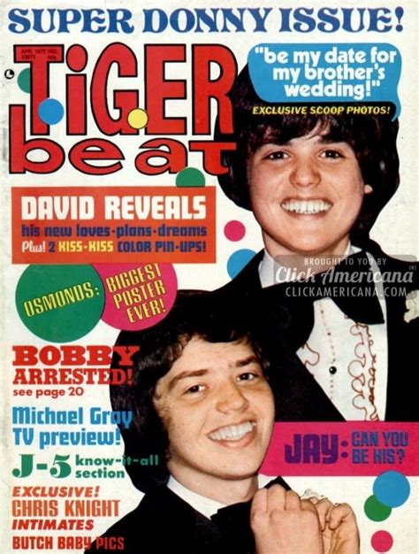 See The Top Stars On These Vintage Tiger Beat Magazine Covers From The 1970s And Relive All The