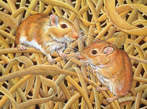 The Gerbils Painting By Ditz Pixels