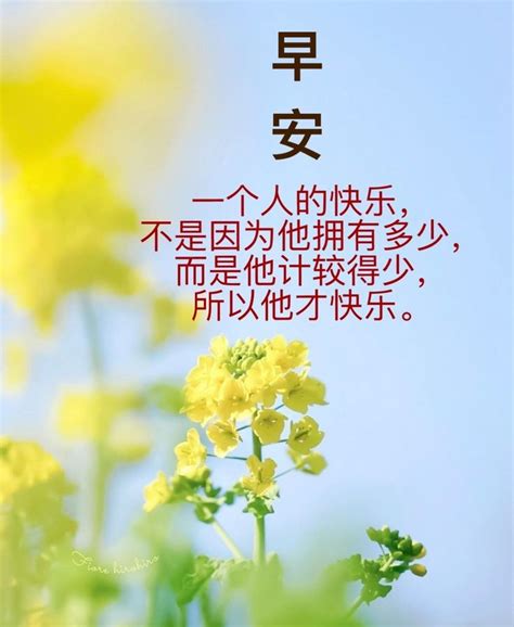 Pin By Francesca Goh On Chinese Quote In 2022 Anime Backgrounds Wallpapers Anime Background