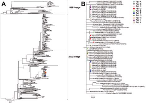 Neuraminidase phylogeny. A) Phylogenetic relationships of the ...