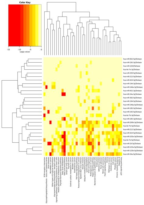 Figure Binary Heat Maps Of The Pathways Union Between Mirna