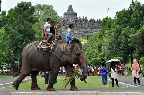 Target Wisatawan Borobudur Antara Foto