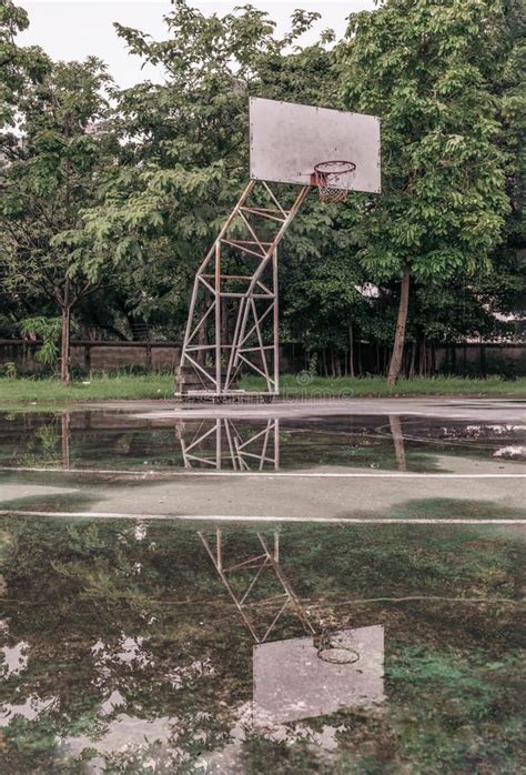 Tablero Trasero De Madera De Baloncesto Con Anillo De Metal De La