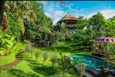 This Treehouse Airbnb in Bali Only Costs $84 a Night