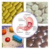 enteric coating, enteric coating system, enteric release coatings, dry granulation, wet ...