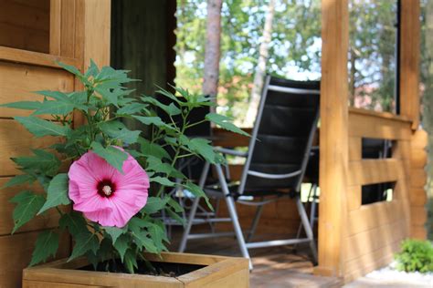 Domek Letniskowy Mazury Ukta Kajaki Noclegi Jacuzzi Wolne Terminy