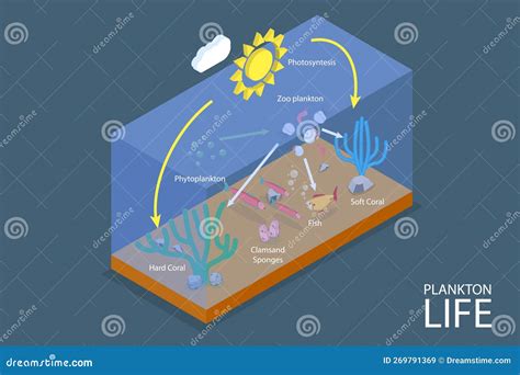 D Ilustraci N Conceptual Vectorial Plana Isom Trica Ilustraci N Del