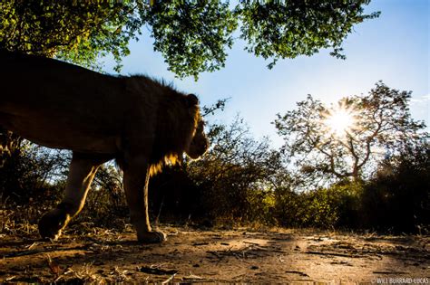 Lower Zambezi National Park | Photos Pictures Images