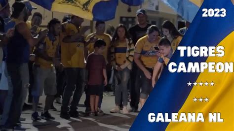 Viven En Galeana Nl Con Alegria Campeonato Se Tigres De La Uanl