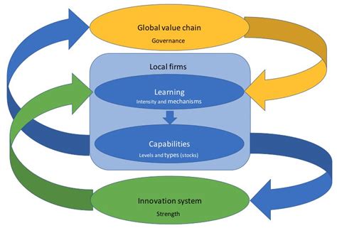 Innovation Trajectories In Developing Countries How Global Value