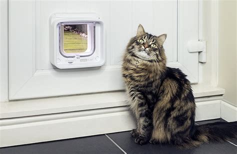 Drzwiczki Sureflap Microchip Cat Door Connect Drzwi Dla Ps W I Kot W