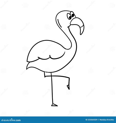 Simple Flamingo Outline Vector Cartoon Flamingo Coloring Book Stock