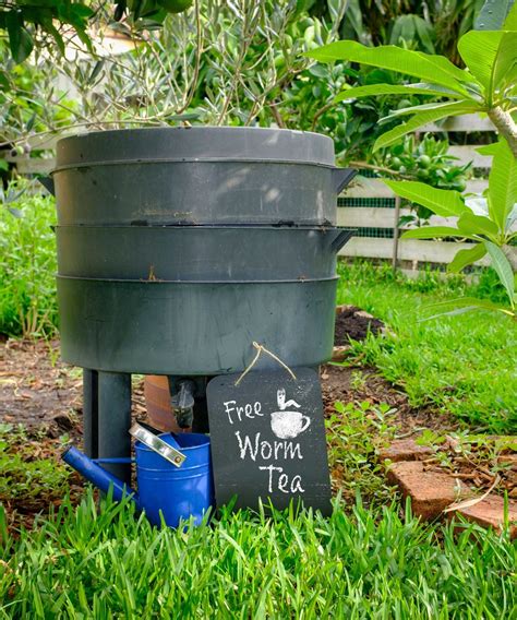 Worm composting: a practical guide on how to do it and why it's good ...