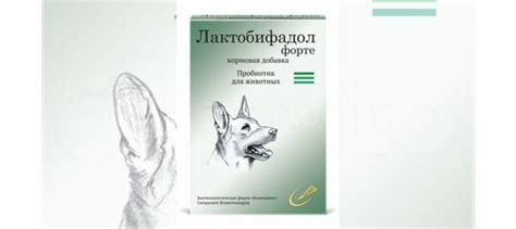 Лактобактерии для Собак и Кошек купить в Санкт-Петербурге | Животные и ...
