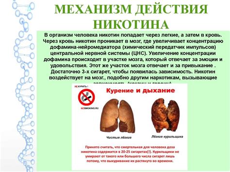 Вред никотина на организм человека - online presentation