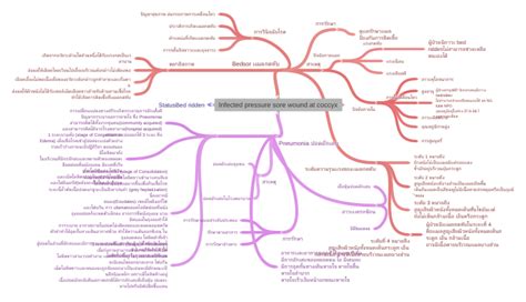 Infected Pressure Sore Wound At Coccyx Coggle Diagram