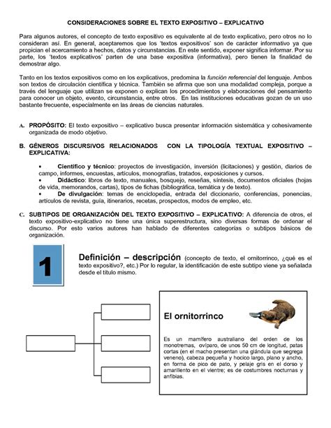 Ejemplos De Texto Expositivo Tipos De Textos Expositivos Hot Sex