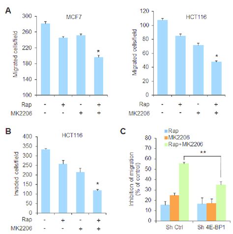 The Effects Of Akt And Mtorc1 Activation On Cell Migration And Invasion Download Scientific