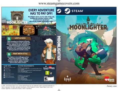 Steam Game Covers: Moonlighter Box Art