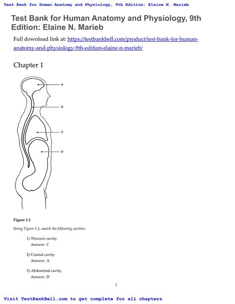 Test Bank For Human Anatomy And Physiology 9th Edition Elaine N Marieb