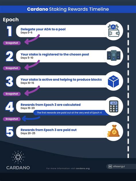 Cardano Staking Rewards Timeline Infographic - Education - Cardano Forum