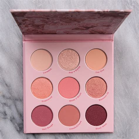 COLOURPOP BLUSH CRUSH NUDE MOOD COLLECTION FOR SPRING 2020 Chic MoeY