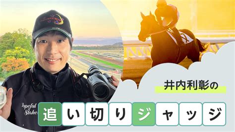 金鯱賞他｜井内利彰の追い切りジャッジ｜競馬情報ならjra Van