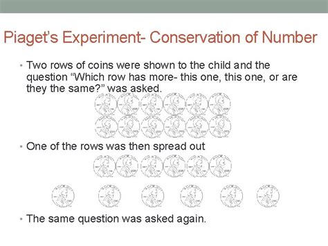 Piagets Theory Of Conservation Lisa Saman Jean William