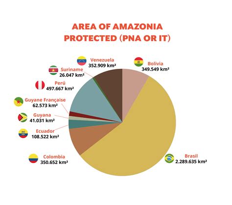 4. Indigenous Territories and Protected Natural Areas | Atlas RAISG 2020